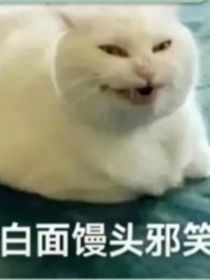 雷狮乙女