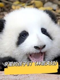 亲爱的孩子们（林歌夫妇）