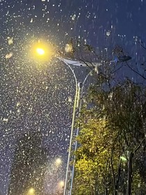 月下疏桐，白云初靜