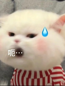 时滞的发疯日记部