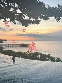 画心之痛