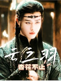 云之羽：杏花不止