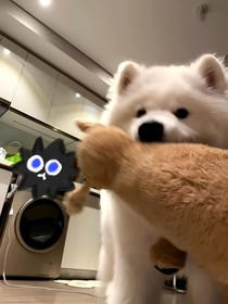 爱予小狗