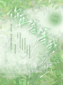 笨蛋你再等等我