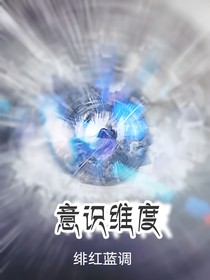 意识维度