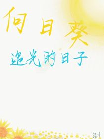 向日葵追光的日子