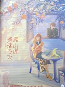 爬山虎遺落的冬天