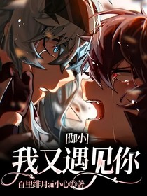 伽小：我又遇见你