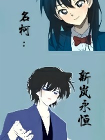 名柯：新嵐永恒