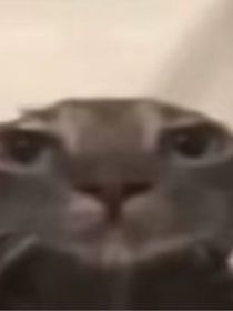 检讨专题