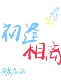 初逢……相离