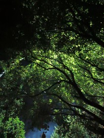 秋天的雨季