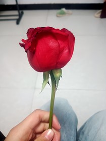 五年……，