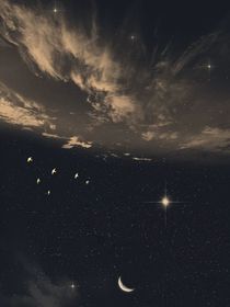 游鱼123