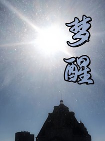 夢醒M