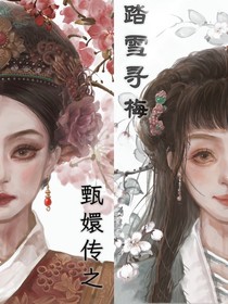甄嬛傳之踏雪尋梅