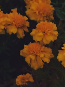 类型不定的短篇合集