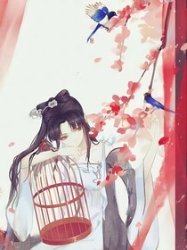 盏妯