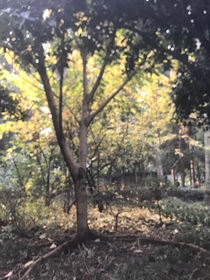 萬般容