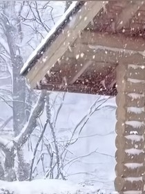 雒蘄擇鄴