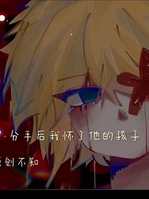 分手后我怀了他的孩子