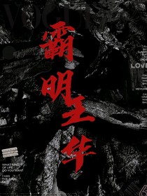 霸明王華