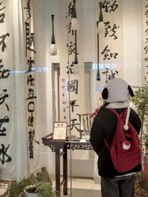 注定不是我