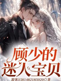 顧少的迷人寶貝