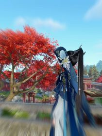 落花随拾