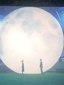 不仅是错过