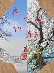 再不能来的春