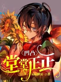凹凸：堂堂正正
