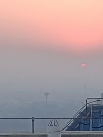 太阳难得拿