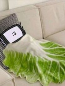 气死小日常