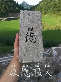 萌学园：我能召唤汪汪队