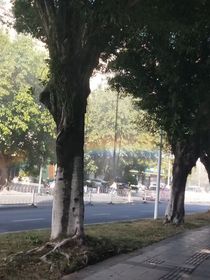 落淚的短篇小說(shuō)