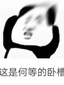 故乡的百合花开了——