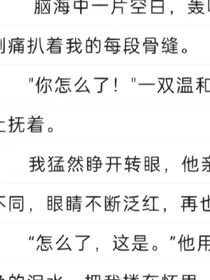 浪潮枕观