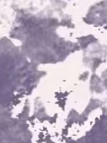校園666888