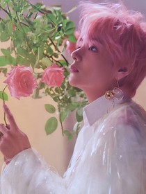 BTS：牵牛星