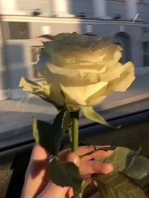 暗恋，一个人的莎士比亚