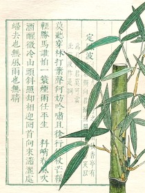 结杏
