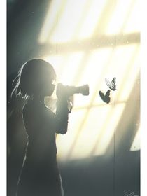 又是苜蓿花开时