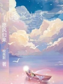 愿风归来