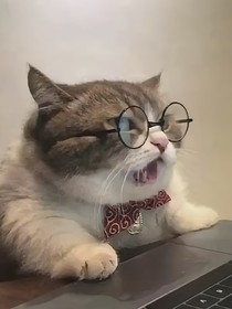 什么？渊灵棺材铺又炸了？！