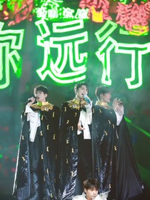 王家：十一位少爺