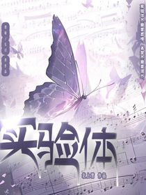 实验体系