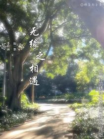 无缘之相遇