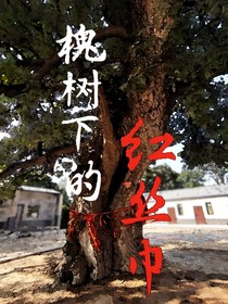 槐树下的红丝巾