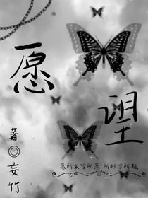 Yw愿望